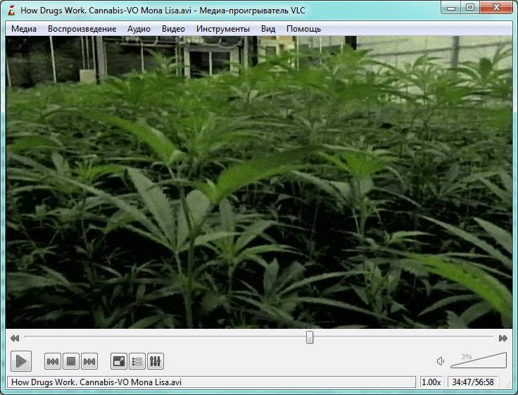 Чем открыть mkv: программа VLC media player Чем открыть mkv: программа VLC media player