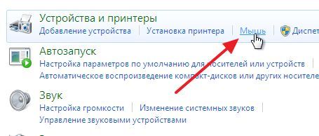 подраздел Мышь подраздел Мышь