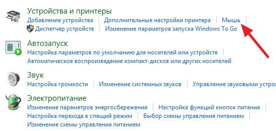 раздел Мышь раздел Мышь