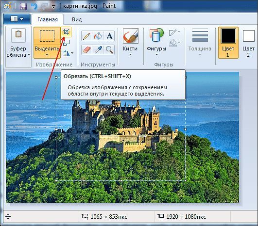 Обрежьте фотографию в Paint Обрежьте фотографию в Paint