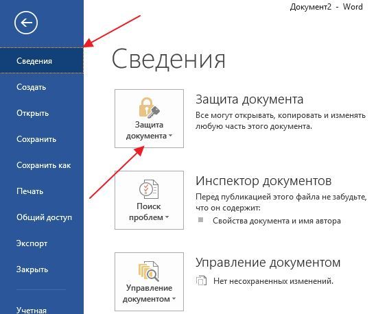 раздел Сведения и кнопка Защита документа