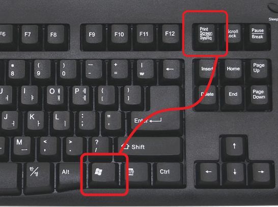 создание скриншота с поомщью Windows+PrintScreen
