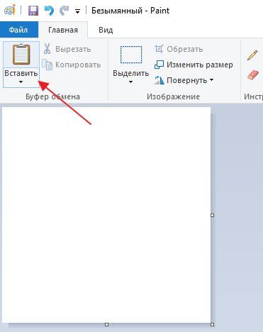 вставка скриншота в программу Paint