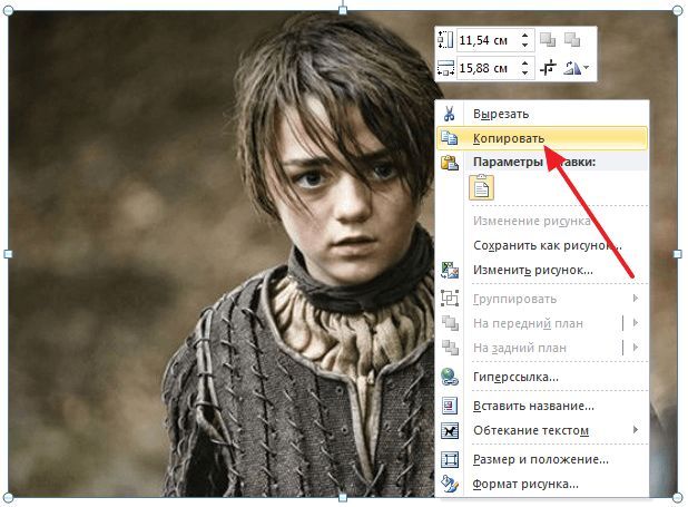 копируем картинку копируем картинку