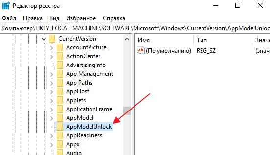 раздел AppModelUnlock в реестре Windows 10 раздел AppModelUnlock в реестре Windows 10