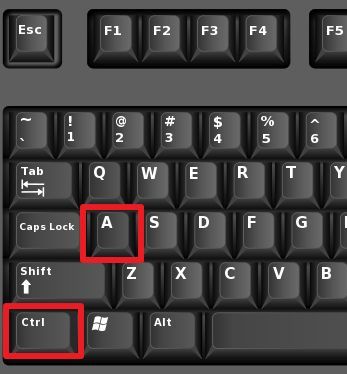 комбинация клавиш CTRL+A