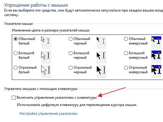 опция Включить управление указателем с клавиатуры опция Включить управление указателем с клавиатуры