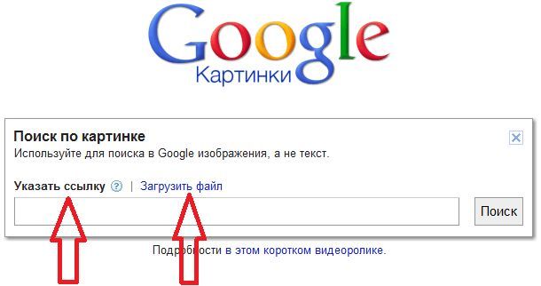 Поиск по картинке в Google