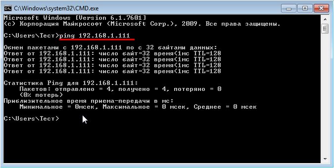 выполняем команду ping на виртуальной машине выполняем команду ping на виртуальной машине