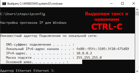 Копирование текста в командной строке Windows 11 и Windows 10 Копирование текста в командной строке Windows 11 и Windows 10