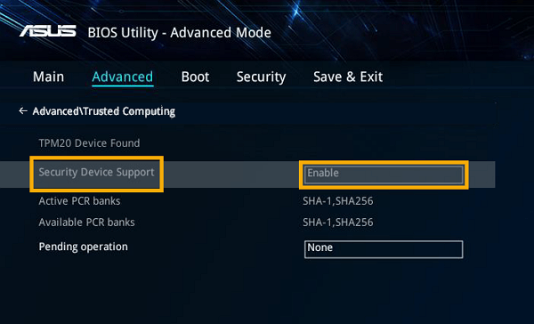 Security Device Support Security Device Support