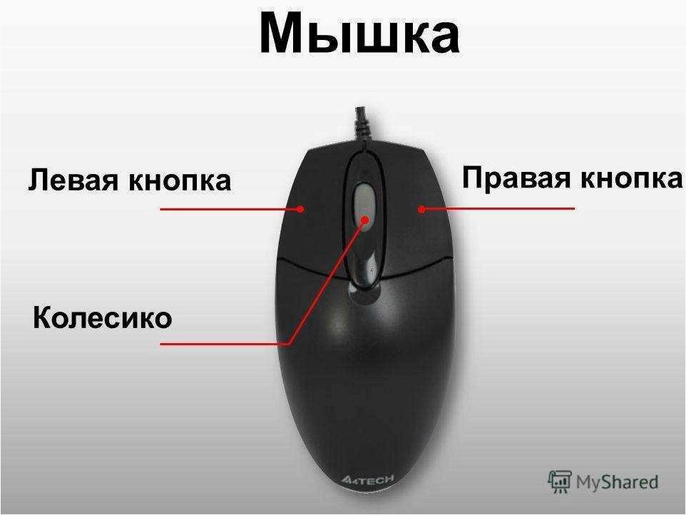 (левая, кнопка, мыши, работает, правая) Левая кнопка мыши работает как правая — варианты решения